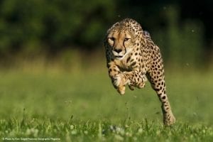 Fast Websites